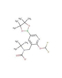 Astatech N-TERT-BUTYL-N-{[2-(DIFLUOROMETHOXY)-5-(4,4,5,5-TETRAMETHYL-1,3,2-DIOXABOROLAN-2-YL)PYRIDIN-3-YL]METHYLCARBAMATE; 1G; Purity 95%; MDL-MFCD316